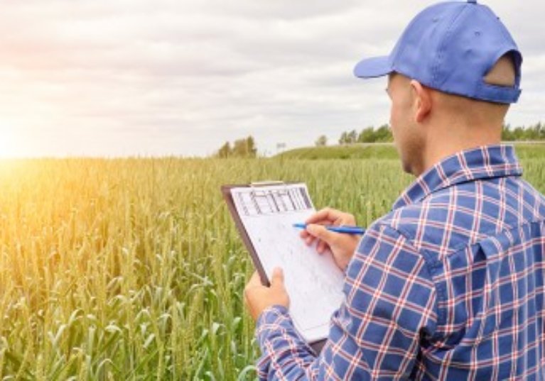 Droit de préemption de la Safer : gare aux faux démembrements de propriété !