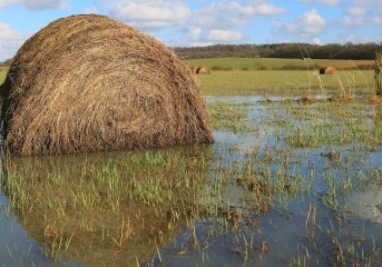 Assurance récolte : les taux de subventions sont fixés pour 2018