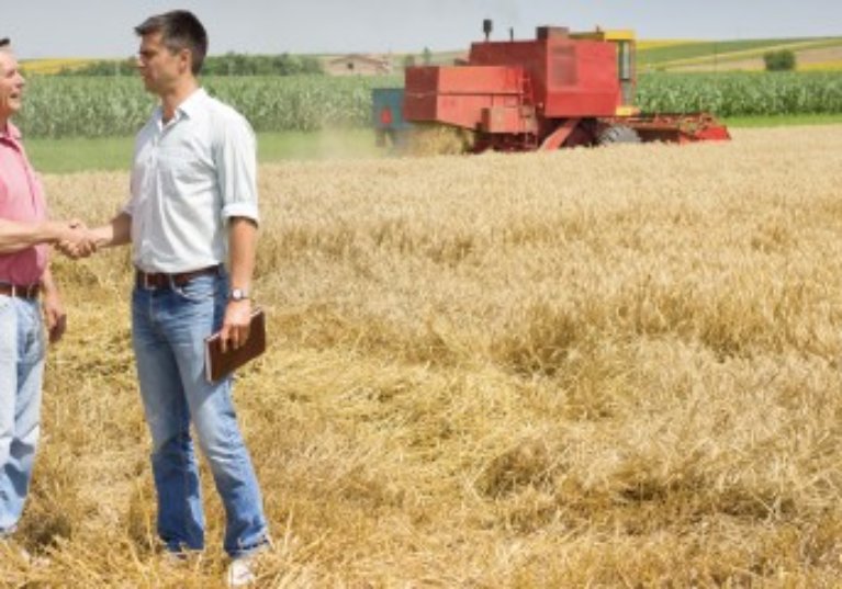 Cession d’un bail rural : gare au respect de la procédure !