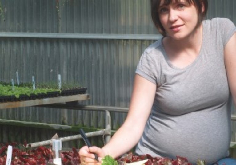 Cotisation Amexa des exploitants agricoles