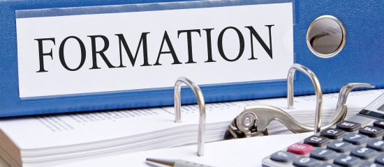 formation professionnelle continue