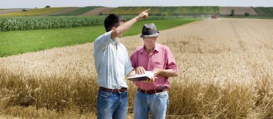 Cet article fait le point sur une jurisprudence récente en matière de reprise de terres agricoles