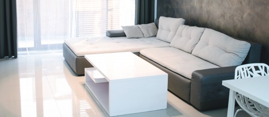 loueur en meublé professionnel