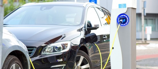 exonération de taxe sur les véhicules de sociétés