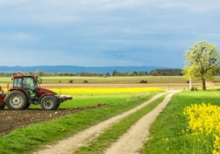 Baux ruraux : l’indice national des fermages encore en baisse