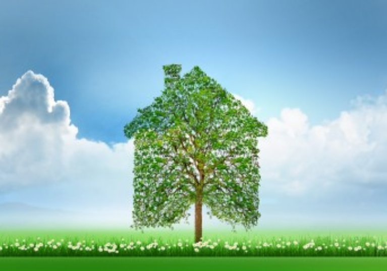 La pierre papier se met au vert !