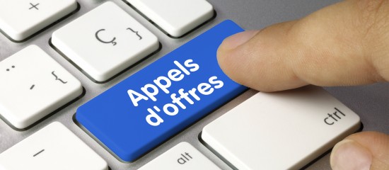 Candidater à un marché public