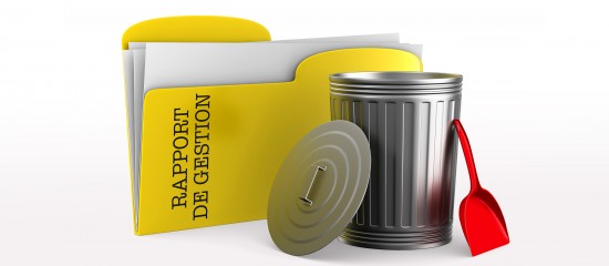 rapport de gestion