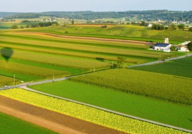 La Safer doit suffisamment motiver ses décisions de rétrocession !