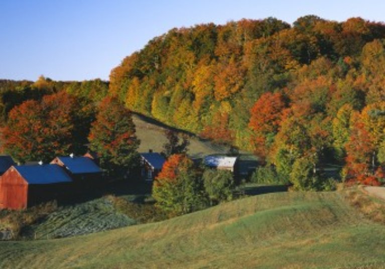 Quand la Safer ne peut pas préempter un ensemble…