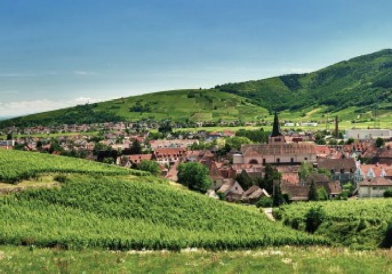 De nouvelles exonérations d’impôts locaux pour les commerces de proximité