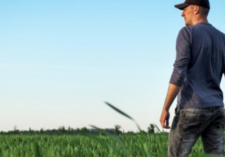 Gare à la cession, même partielle, du bail rural !