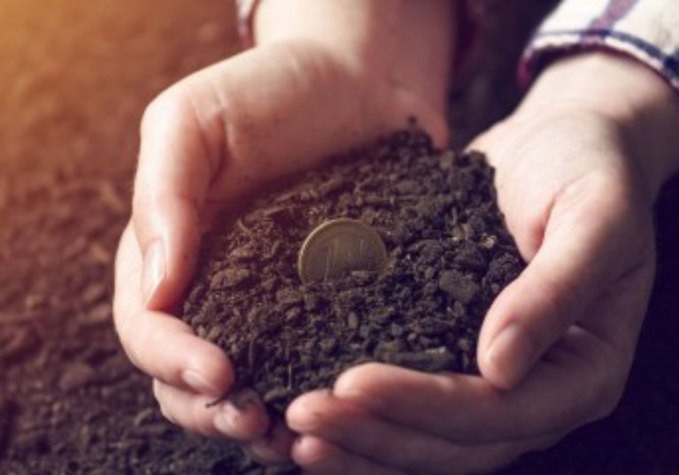 Versement des aides Pac 2019 : prenez date !