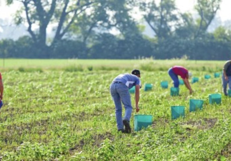 Combien y a-t-il d’associations agricoles employeuses ?