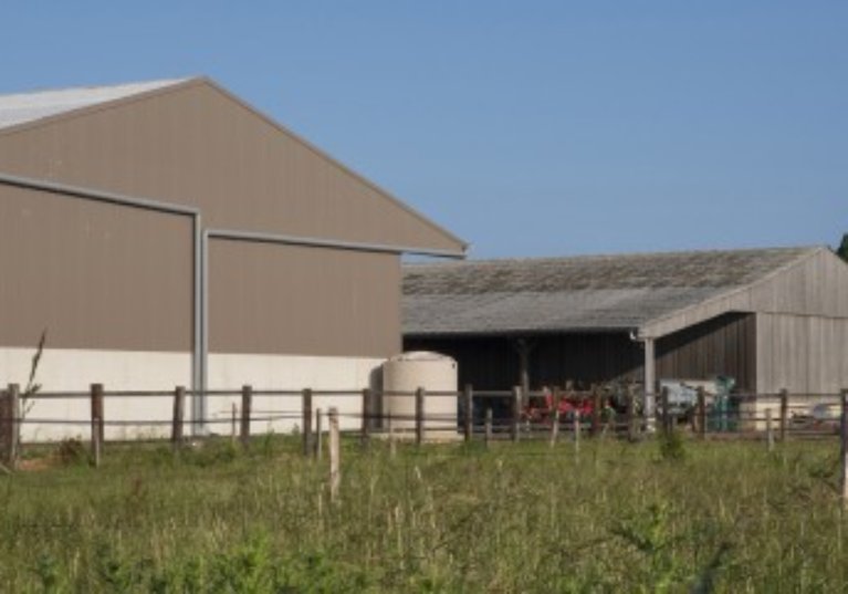 Indemnisation d’un agriculteur en fin de bail : gare au respect des conditions requises !