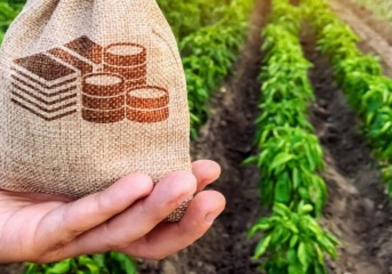En 2017, les agriculteurs ont gagné, en moyenne, 1 650 € par mois