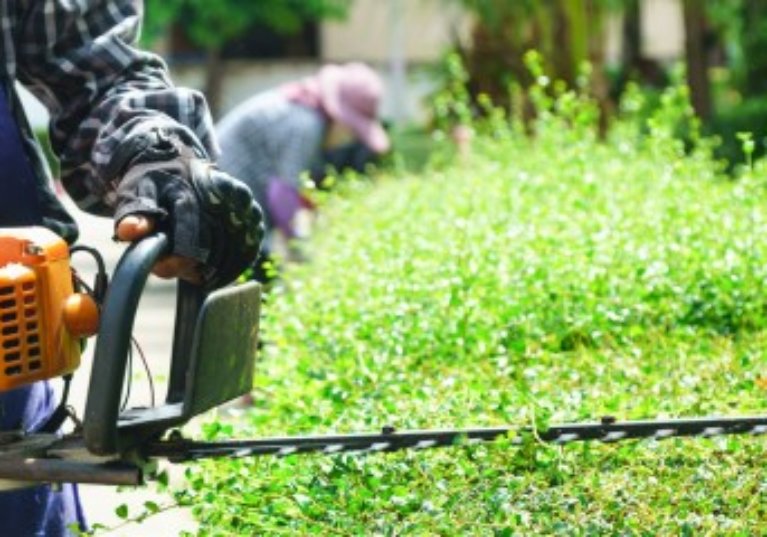 Coronavirus : l’activité partielle ouverte aux particuliers employeurs