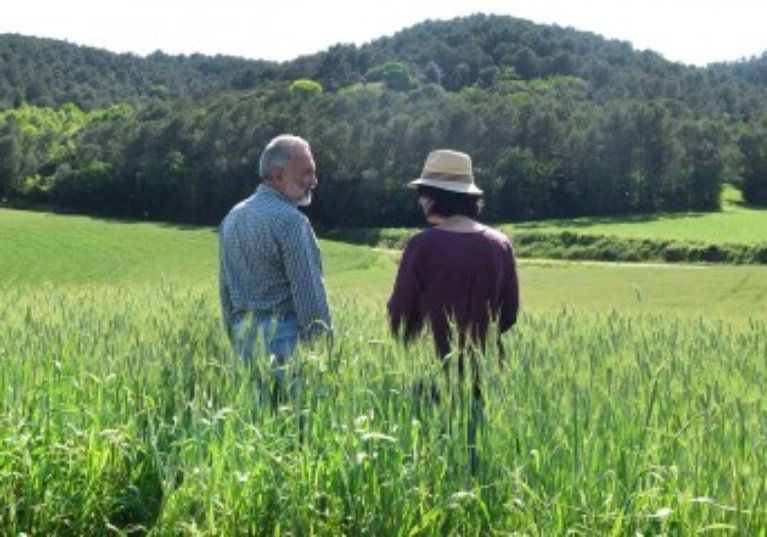 Décès d’un exploitant agricole et option pour une assiette forfaitaire de cotisations