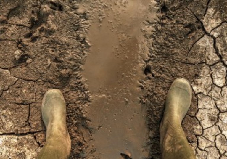 Des mesures de soutien pour les agriculteurs victimes de la sécheresse