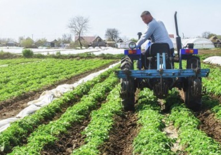 Comment régler vos dettes de cotisations auprès de la MSA ?