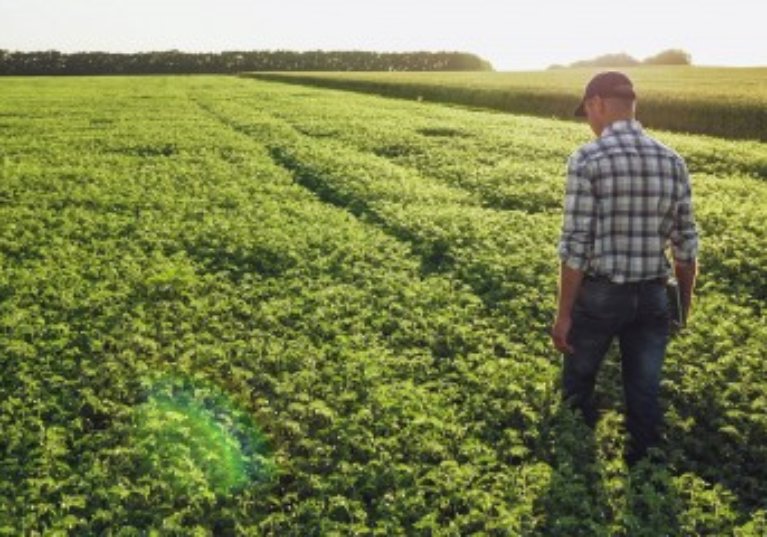 Les décisions de rétrocession des Safer doivent être correctement motivées !