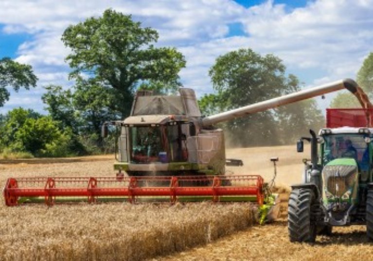 Assurance récolte : les taux de subventions sont inchangés pour 2021