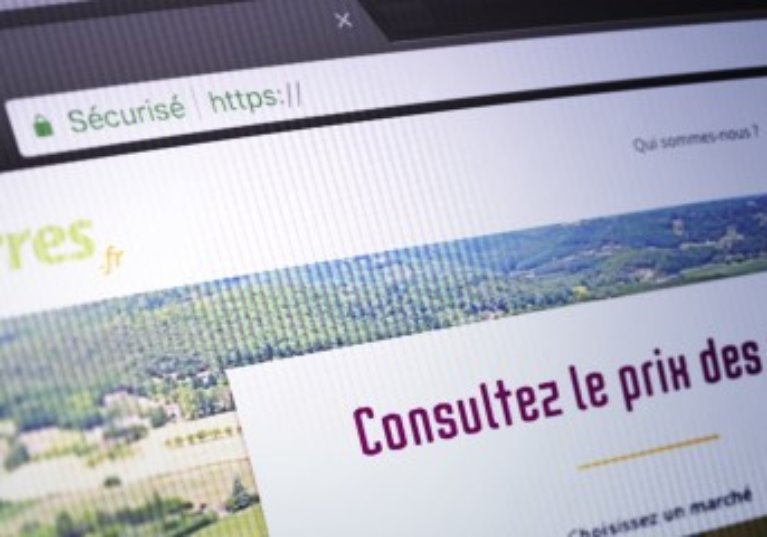 Un nouveau site internet pour connaître le prix des forêts, des vignes et des terres agricoles