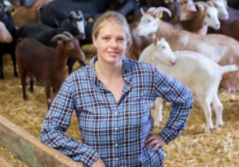 Continuation du bail rural par un seul des colocataires : gare au formalisme !