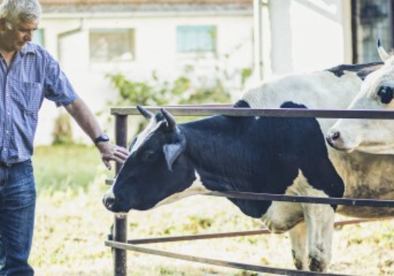 Les petites retraites agricoles revalorisées au 1er novembre !