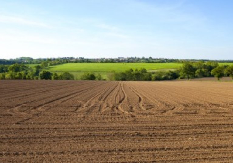 Le marché des terres agricoles en 2020