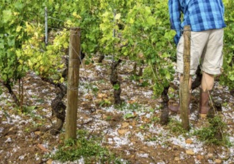 De nouvelles mesures fiscales pour les agriculteurs