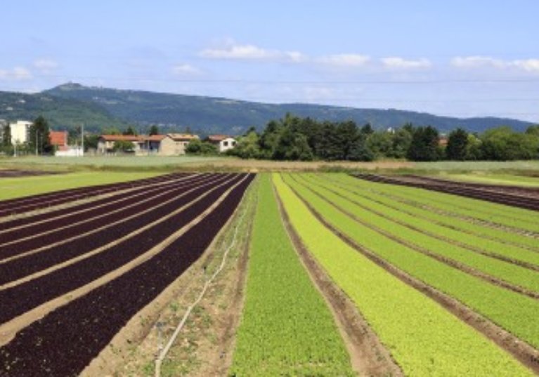 Bail rural : gare au départ de l’un des colocataires !