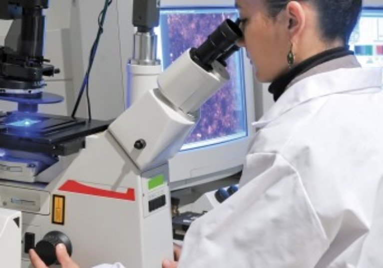 Remboursement tardif du crédit d’impôt recherche et versement d’intérêts moratoires