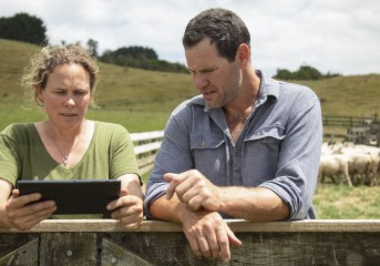 Statut du conjoint du chef d’exploitation agricole : attestation sur l’honneur requise !