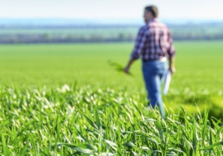 Bail rural : le bailleur doit être informé du départ de l’un des colocataires !