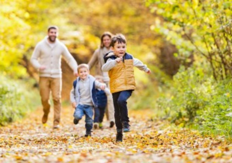 Quant aux jours fériés du mois de novembre…