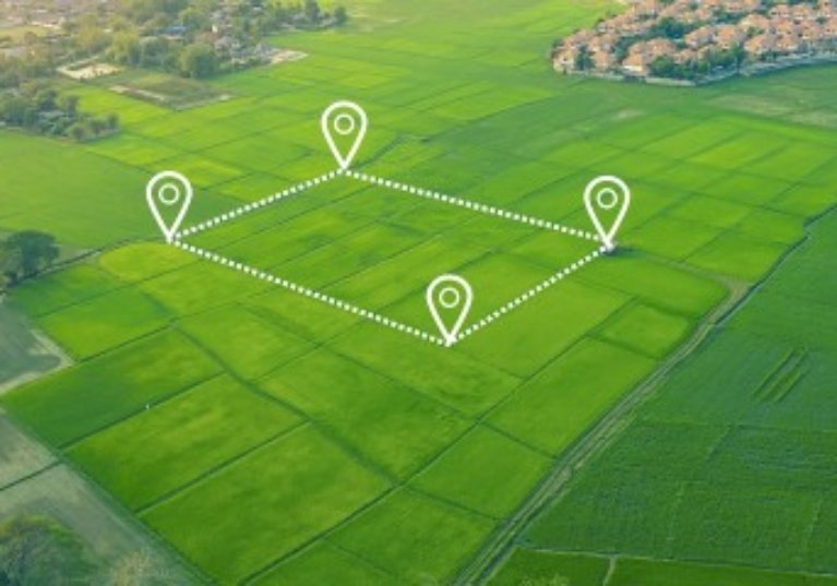 Mise à disposition de terres agricoles à la Safer : avec l’accord du nu-propriétaire !