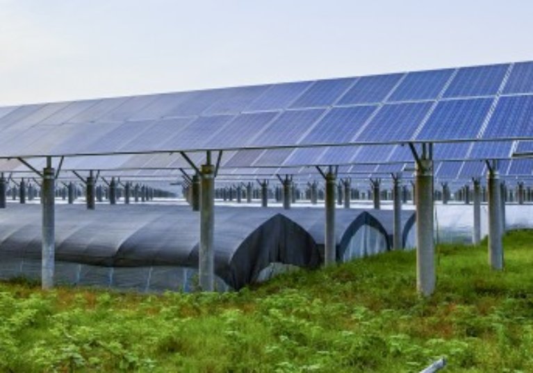 Vente d’une entreprise agricole dotée de panneaux photovoltaïques : quelle exonération fiscale ?