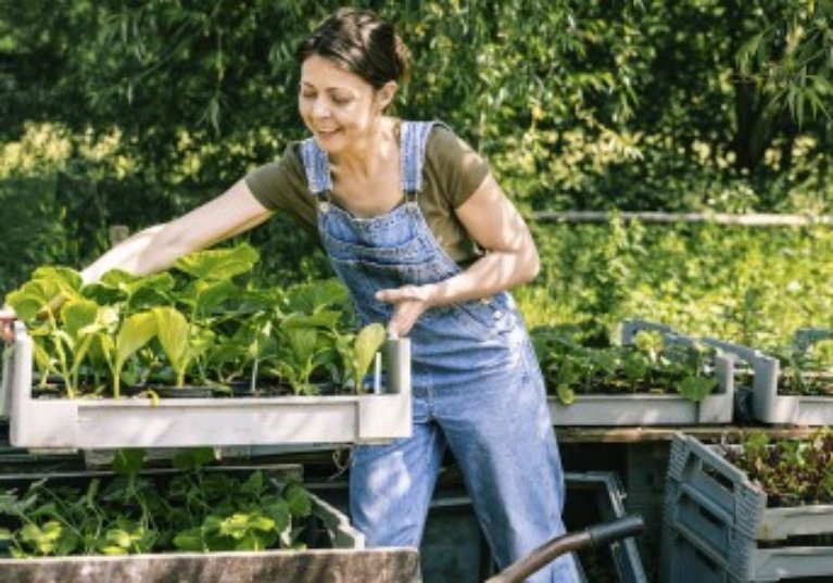 Du nouveau pour la protection sociale des non-salariés agricoles