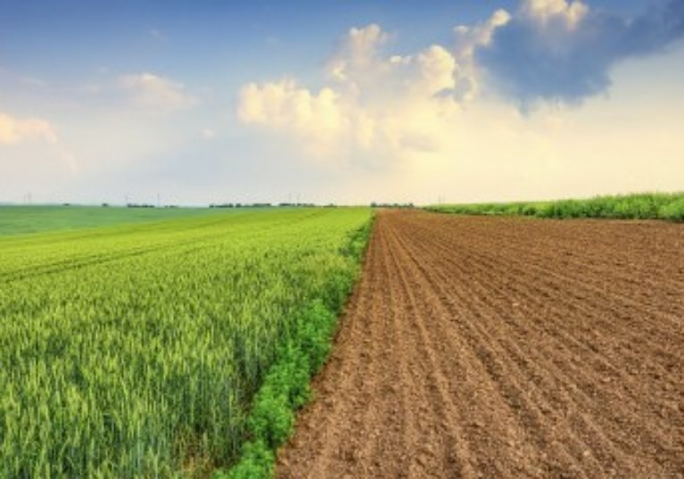 Quel prix pour les terres agricoles et viticoles en 2021 ?