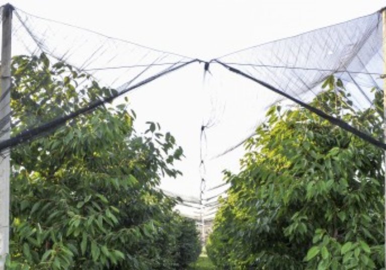 Aide aux investissements protégeant les exploitations agricoles contre les aléas climatiques