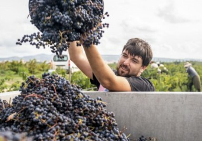 Travail saisonnier : les règles du jeu