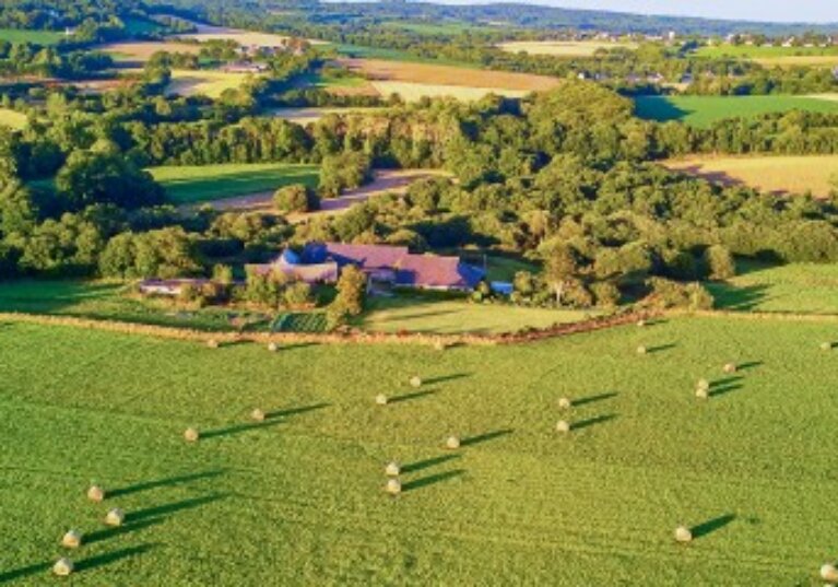 Le prix des terres agricoles et viticoles en 2024