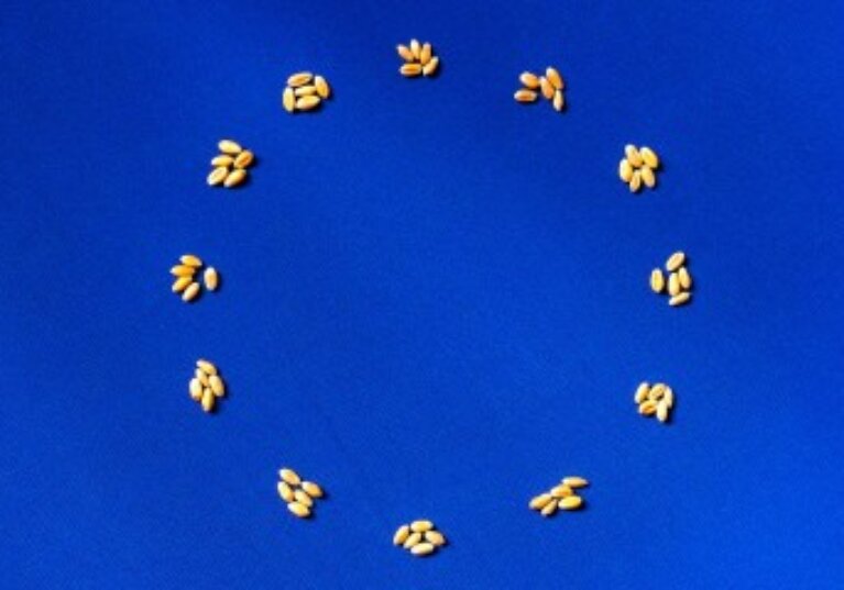 Exploitants agricoles : fixation des montants 2025 de certaines aides Pac