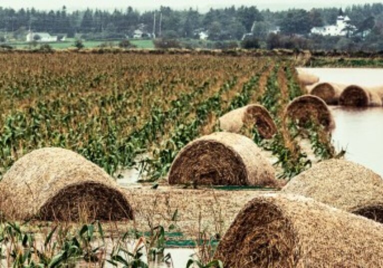 Déduction pour épargne de précaution : quelles conditions pour l’exonération fiscale ?