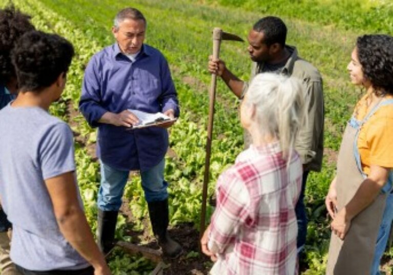 Les associations agricoles employeuses en 2024