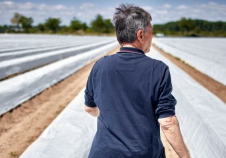 Non-salariés agricoles : vers une meilleure pension de retraite de base ?