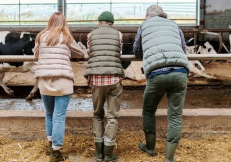 Décès d’un non-salarié agricole : capital décès pour ses ayants droit