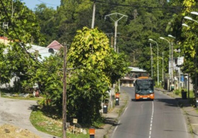 Versement mobilité régional et rural : l’outre-mer concerné