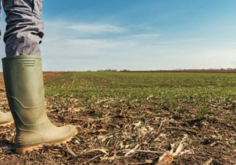 Un train de mesures fiscales pour le secteur agricole